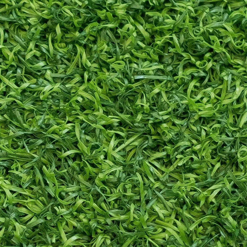 Artificial Grass